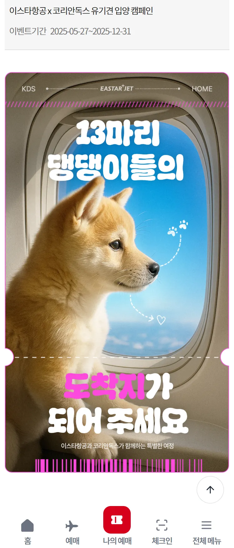 [이스타항공]이스타항공 x 코리안독스 유기견 입양 캠페인