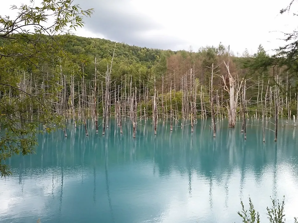 북해도 여름/겨울 여행: 각각의 매력과 비용