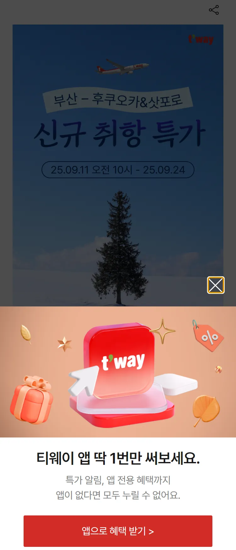 [티웨이]부산-후쿠오카&삿포로 신규 취항 특가