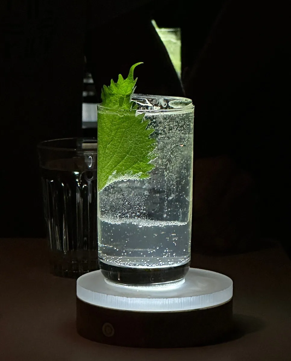 홍콩 쪽 파라다이스: 센트럴·소호 바 탐험, 대략 5~10만 원