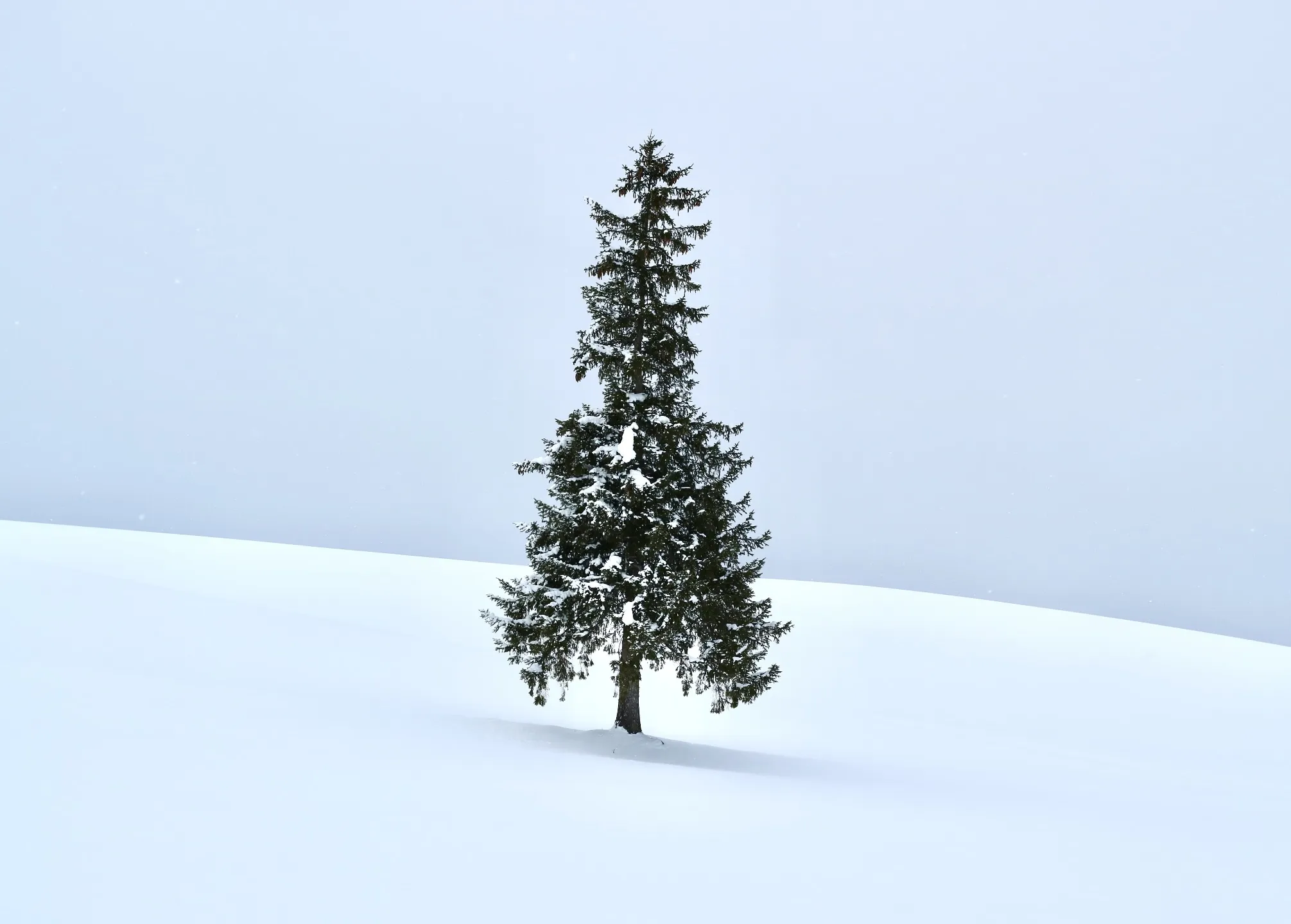 겨울, 북해도로 떠나는 여정! (출발: 서울, 도착: 북해도, 비용: 약 100만원)