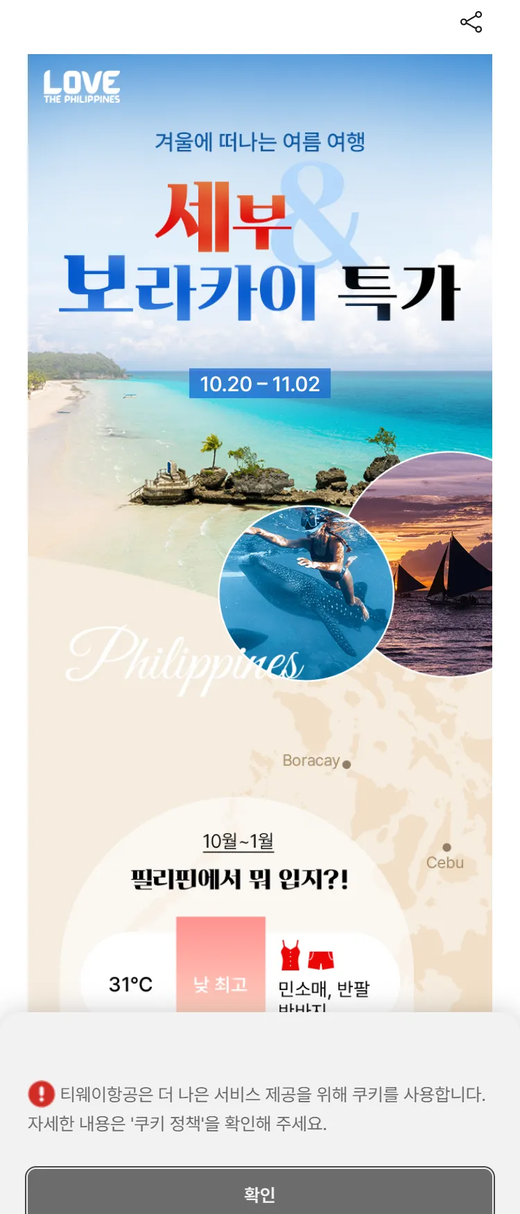 [티웨이]세부&보라카이 특가