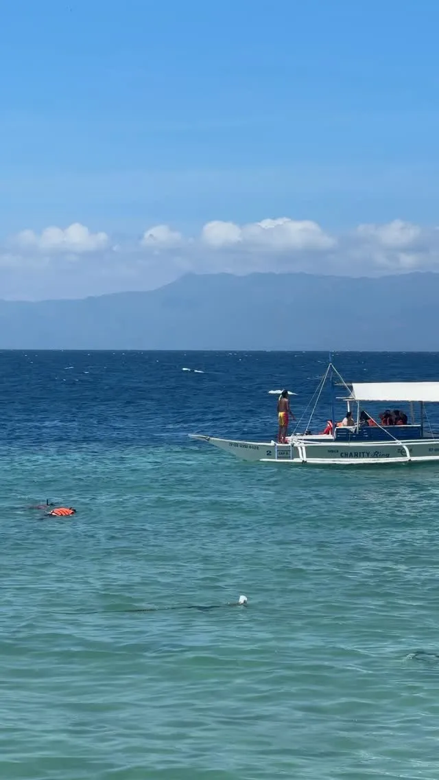 필리핀 여행 추천: 모알보알 (비용 대략 500달러)