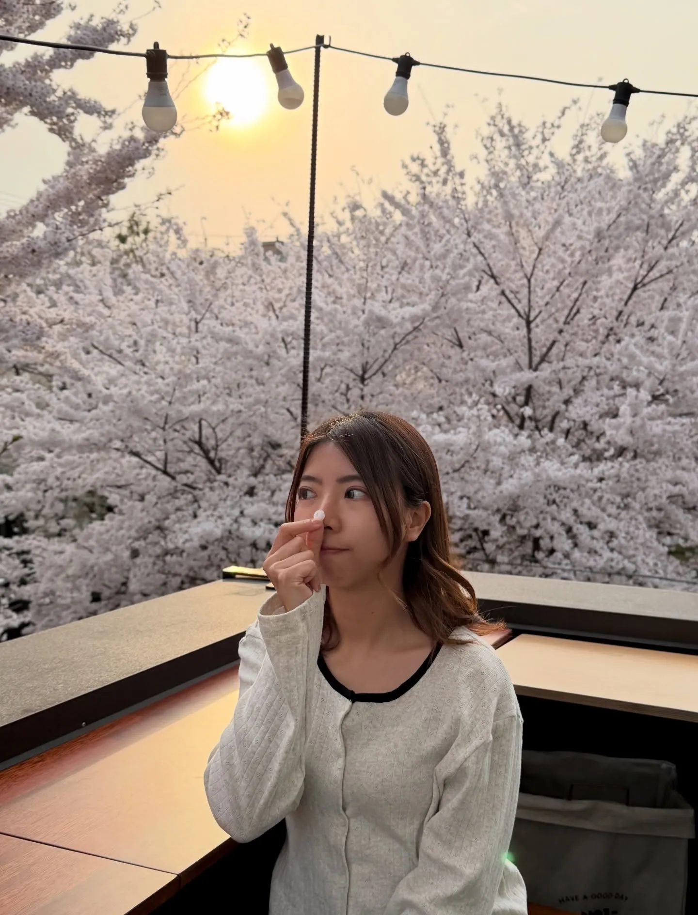 서울에서 인천까지, 벚꽃 카페 데이트 - 약 1만원